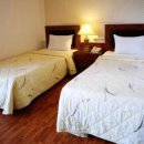 파오(PAO) 이미지