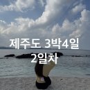 우도밥상 | 제주도 3박4일 2일차ㅣ엄마랑 우도 당일치기 배시간, 전기차 대여 후기