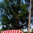 한강 산책 이미지