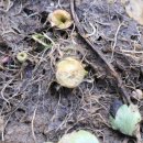 한재농장 이미지