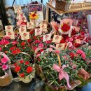 365게임랜드 이미지