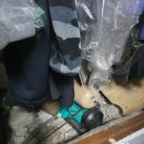 윌로펌프서비스 | [부산엄궁/가압펌프교체] 구축 아파트 5층 수압 해결! 소음 걱정 없는 윌로 가압펌프 교체 후기