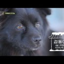 강원상회 네이버블로그