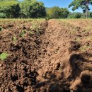 유익농장 이미지