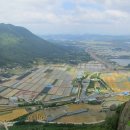 장군주유소 이미지