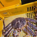 수산킹종합어시장 | 소래포구 종합어시장 킹크랩 후기(내돈내산)