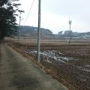 근흥면 궁틀길 충남 네이버블로그