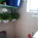 부림공인중개사사무소 이미지