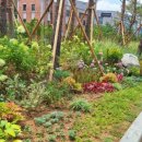 위례성대로 이미지