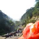 태산슈퍼