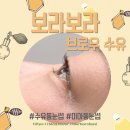 예술로 | [수유속눈썹] 보라보라브로우 수유점, 짧고 뻗친 속눈썹도 예술로 피어나는 펌 후기!