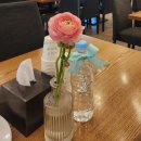 얌샘김밥대구성서점 | [대구웨딩홀] 성서 AW웨딩홀투어 솔직후기｜연회장 시식, 답례품