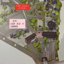 대구기독병원 | 대구 청라언덕 목련 만개 실시간 개화 상황 + 주차장 정보 (동산병원) 대구 목련 명소 스팟