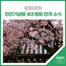 매화정보통신 네이버블로그
