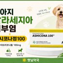 햇님약국 네이버블로그