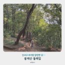 봉제산 무궁화공원 화장실 | 강서구 두돌 아기랑 갈만한 곳 봉제산둘레길 후기 | 22개월 아기와 다녀왔어요!