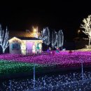 아비앙또베이커리 | [겨울 여행] 파주 프로방스 크리스마스 빛 축제, 연인과 함께 떠나는 로맨틱 겨울 데이트!