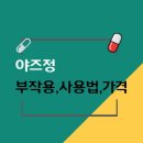 연분홍약국 | 야즈정: 피임·여드름·PMDD 한 번에 정리