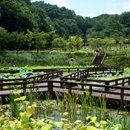 한밭자동차공업사 이미지