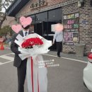 상록자이언트 이미지