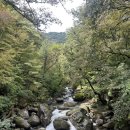고바우문구 | 합천 해인사 블루리본 맛집 고바우식당