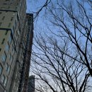 중동105 | 신중동역 로제 떡볶이 “엽떡 부천중동점” _꿀팁/가격/맵기/메뉴/원산지 솔직 후기 ♥