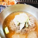 외대갈매기 이미지