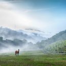 낙원목장 이미지