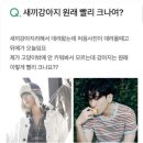 그 시절 엑소 백현짤 2 이미지