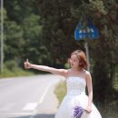 올오브스냅 이미지
