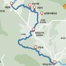 팔공산 둘레길 4구간 이미지