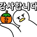 라운드투안경 울산태화점 이미지