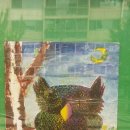 성라초등학교 이미지