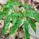 장신대학교기숙사 이미지