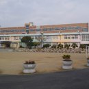 삼호중앙초등학교 이미지