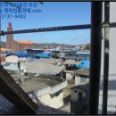 고산청과상회 이미지