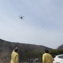 첨단방역