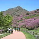 산청 - 순천시 | 산청