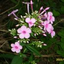 샘골농장 이미지