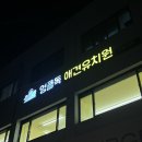 엉클독 애견유치원 이미지