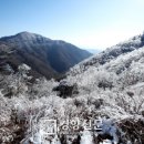 경남얼음