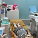 대연어린이치과의원 이미지