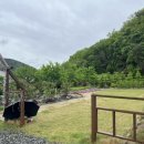 새소리민박 이미지