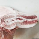 국립축산과학원 난지축산연구소 | [실화 에세이] 난축맛돈, 그 붉은 꿈을 찾아서