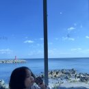 문베이 | 영덕여행 1박2일 코스 오션뷰 베이커리 카페 하프문베이 내돈내산 솔직후기