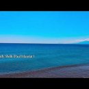 pearly shells / Rhonda 불러봅니다 이미지