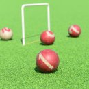 게이트볼 이미지