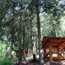 대운상대길 이미지