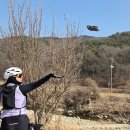 260221 진아의 레옹 입문영상 이미지