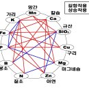 식물의 기초생리 8편 이미지